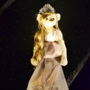 테지움사파리 이미지