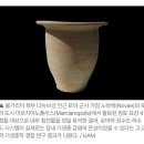 지아르 | [지구칼럼] “깨끗한 로마식 상수도”의 민낯…1800년 된 요강이 드러낸 기생충의 역습