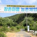 영농조합법인 장촌마을 이미지