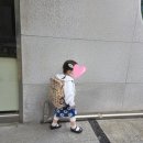 퐁퐁삔