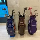 성일레포츠 이미지