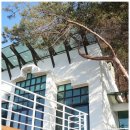 휘게스테이 이미지