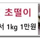 속초김밥 이미지