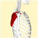 거창의원 이미지
