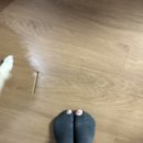 네일에떼(nail ete) 이미지
