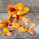 여주-0626 이미지