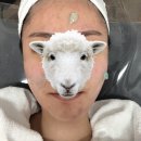 노원-공릉-3393 | [노원] 그리다에스테틱 :: 공릉 피부관리 하나를 받더라도 제대로 받고 가기