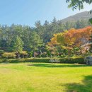 농업회사법인 숲이랑 | [전라남도 해남군] 더불어숲 농업회사법인