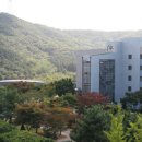 명지대학교 이미지