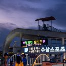 하천(갑천5-1) | 2025 대전야경 갑천수상스포츠체험장 딜라잇 문보트 후기!