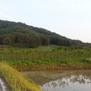 수목부동산공인중개사사무소 이미지