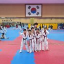 한국체대 한성태권도 이미지