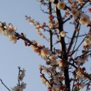 오륙도중학교 이미지