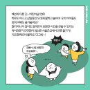 보성인테리어 이미지