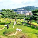 김지남 비갈 및 묘 네이버블로그