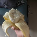 [우리끼리 블챌-9] 마라톤 뒷풀이