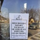 중문동 회수다리 옆 | 파주 마장호수 출렁다리 근처 브런치 맛집 내돈내산 카페 이즈바