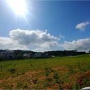 황소마을 이미지