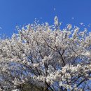 오글오글오토캠핑장 이미지