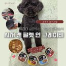 강아지사료 | 시저 캔 필렛 인 그레이비 푸들후추의 대만족후기♥️