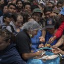 타코이야기 이미지