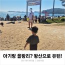 왕산목장 | 을왕리 가려다 왕산해수욕장｜아기랑 놀기 딱 좋았던 후기(주차·준비물·물놀이 팁)