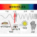 골드블루 이미지