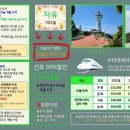 거문도여객선터미널 이미지