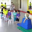 용인대 꿈나무 태권도장 이미지