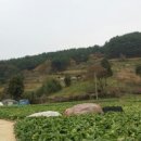 윤씨네농장 이미지