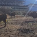 광암농장 이미지