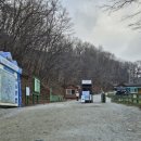 용화목장 | [강원 평창] 대관령 양떼목장 후기(먹이주기 체험, 축사, 기념품샵 등)