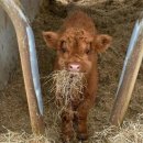 세븐충주돈산점 | 11월