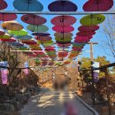 원주허브팜식물박물관 | 포천 가볼 만한 곳 허브아일랜드 스카이 허브팜 핑크 반딧불 방문 후기