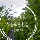 진이네농장 이미지