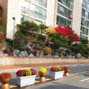 59쌀피자봉곡점 이미지