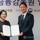 금융감독원 연합뉴스