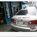 제일듸젤카 이미지