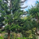 고원농장 이미지