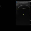 24시 양주 힐 동물의료센터 이미지