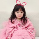 버니헤어 네이버블로그