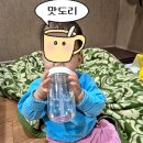 서림목욕탕 | KINTO) 투고 보틀(TO GO BOTTLE) 360ml, 480ml 후기 / 아기 외출 빨대 물통 /본보 빨대컵 빨대 머그...