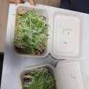 노루숲 | 속초여행 송이밸리자연휴향림 숲속의집 노루 숙박후기