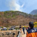 김삿갓면-42 이미지