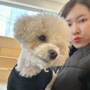 동행동물의료센터 | 부산동물병원추천 과잉진료 없는 24시동행동물의료센터 이용 후기