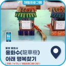 용화수 이미지