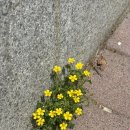 라이스 케키&커피 이미지