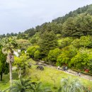 제주커피박물관 바움 이미지