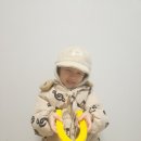 엘에스와이 이미지