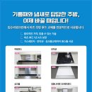 골드캣슬